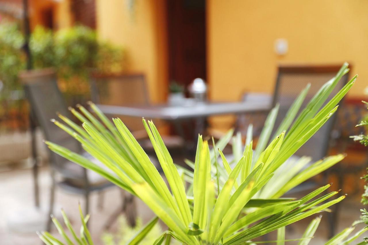 Apartmani Strpic Biograd Na Moru Extérieur photo